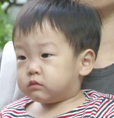  서준이가 표현하는 동물 친구들ㅋㅋㅋㅋㅋ .GIF | 인스티즈
