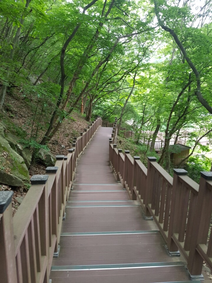 오가네 이미지