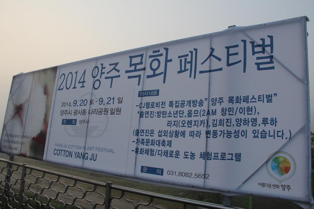 목화밭풍경 이미지