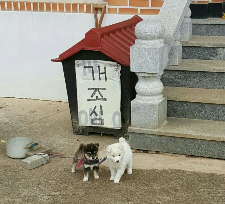 개조심.jpg | 인스티즈