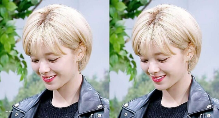 snl 에서 정연이 | 인스티즈