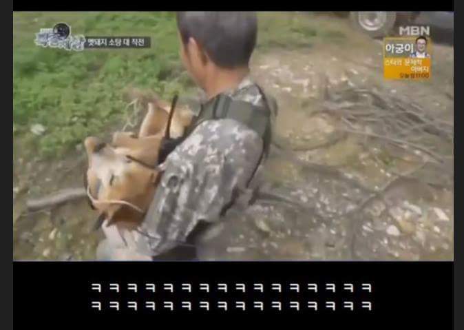 맷돼지 사냥꾼 레전드 ㅋㅋㅋㅋㅋㅋㅋㅋ | 인스티즈