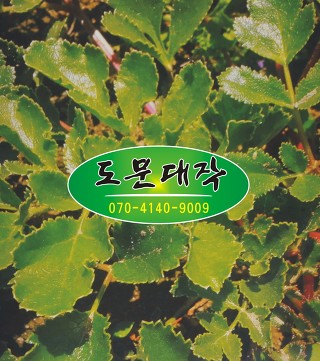 도문대작협동조합 이미지