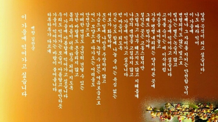 백향 이미지