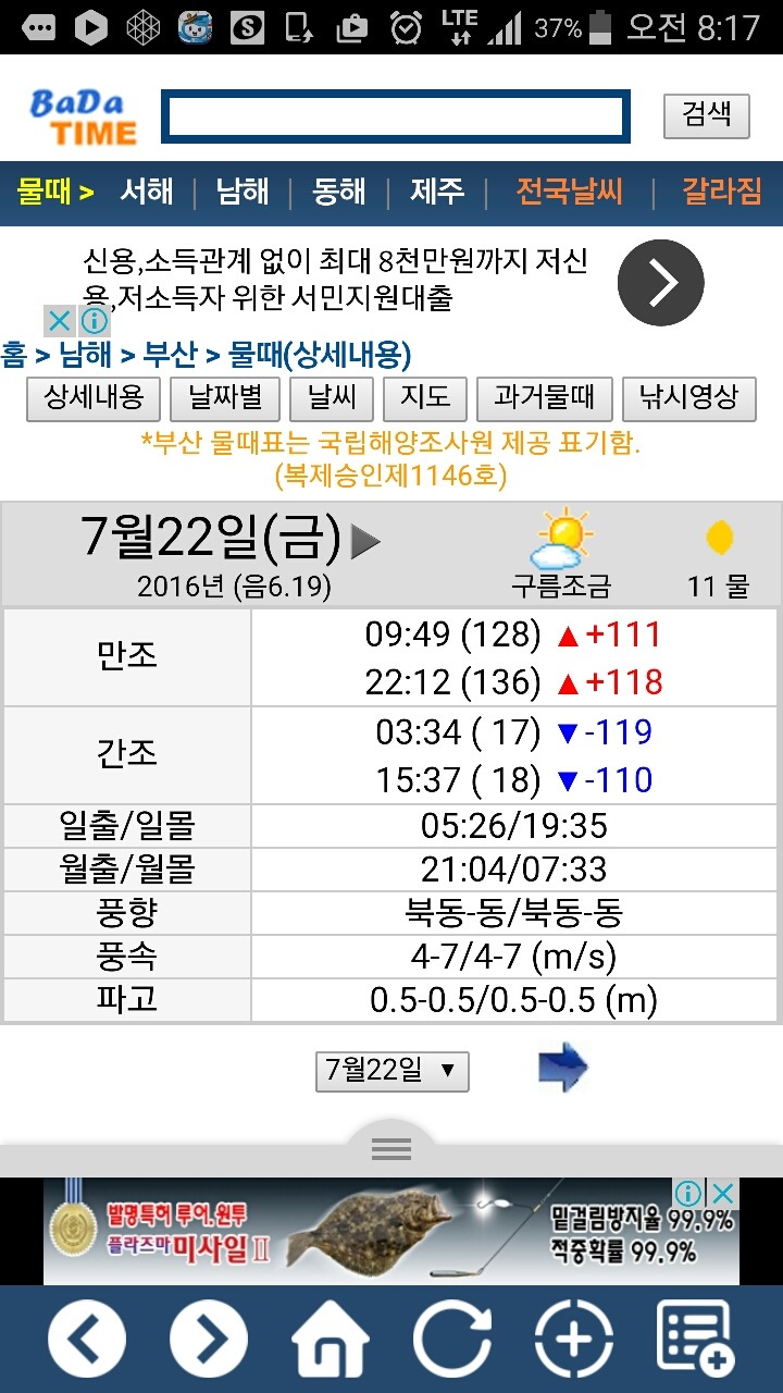 부산오징어 이미지