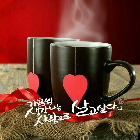참사랑세탁소 이미지