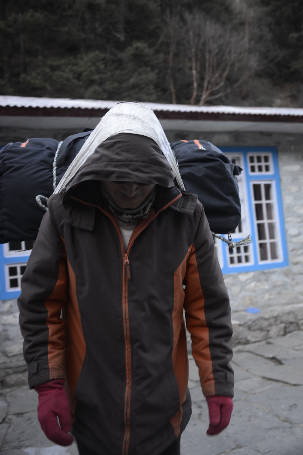 베이스켐프 이미지