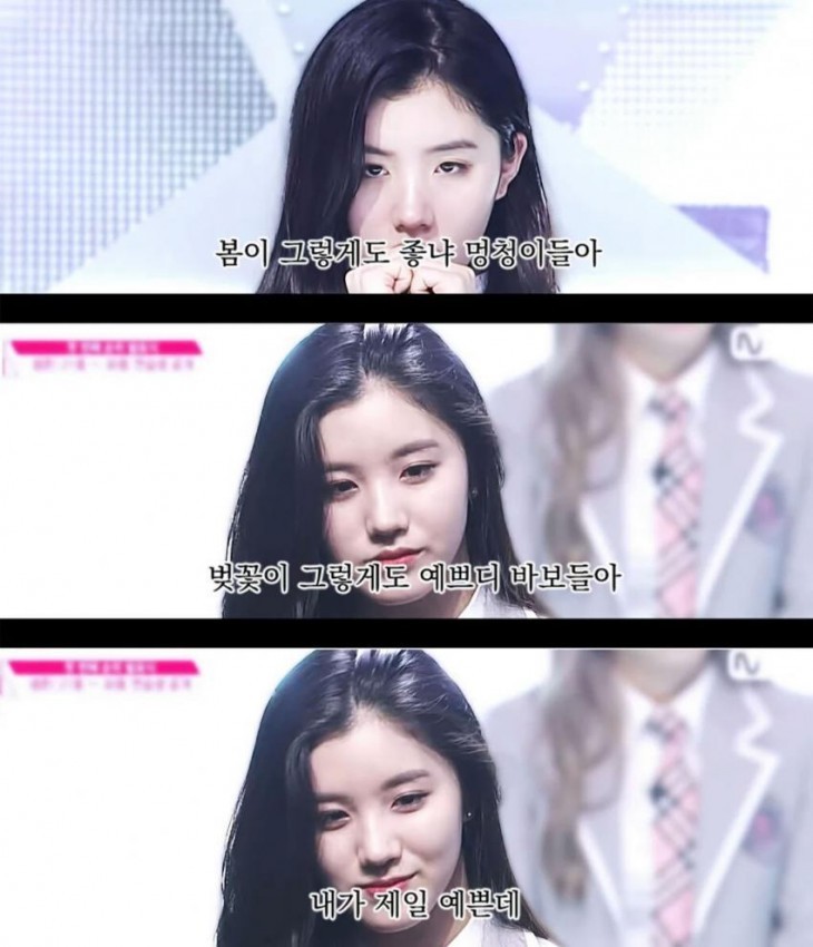 플레디스의 봄이좋냐? (프로듀스101) | 인스티즈