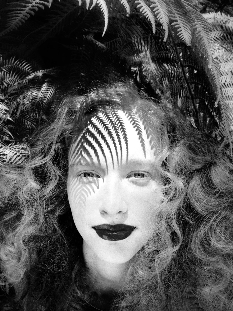 아이폰으로 찍은 최고의 사진 22장.jpg | 인스티즈