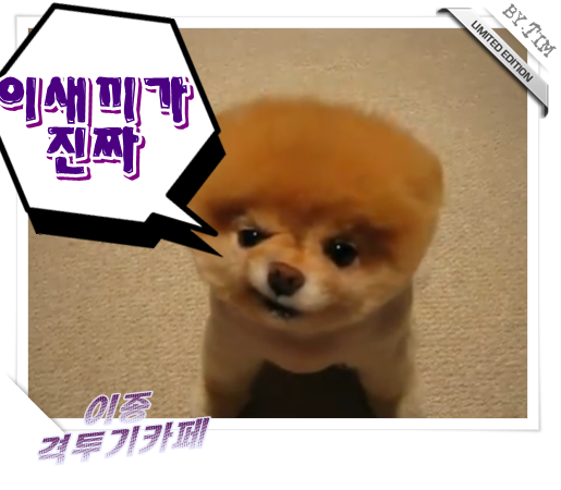 데굴데굴 이미지