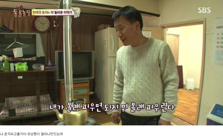 동물농장 완전 똑똑한 멍멍이 | 인스티즈