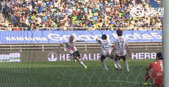 형아 가지망.gif | 인스티즈