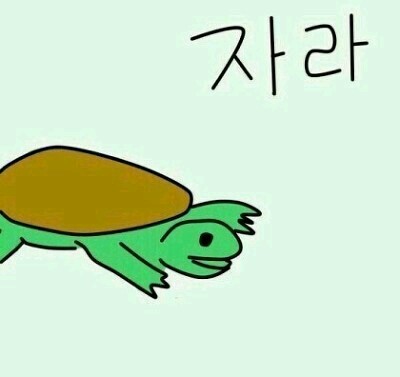 자라 이미지