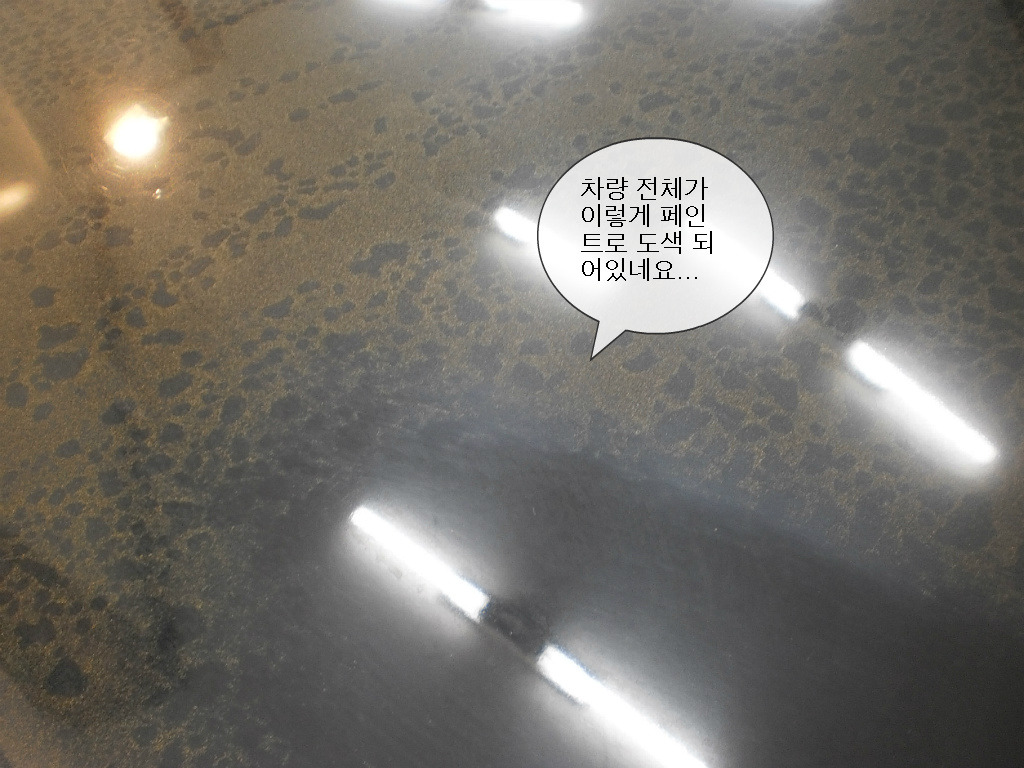 맥과이어스 이미지