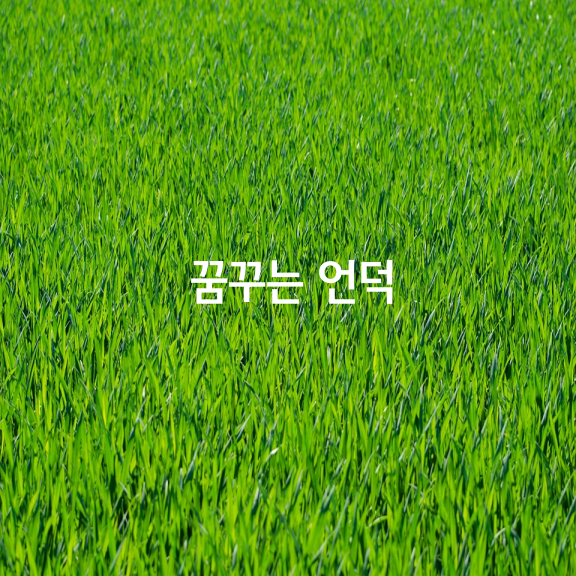 꿈꾸는언덕 이미지