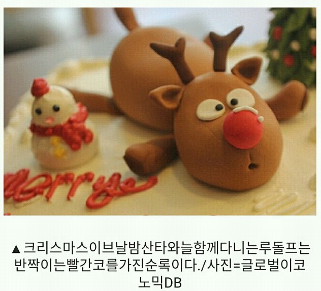 루돌프 사슴코가 빨간 이유는 기생충 때문이라고?? | 인스티즈
