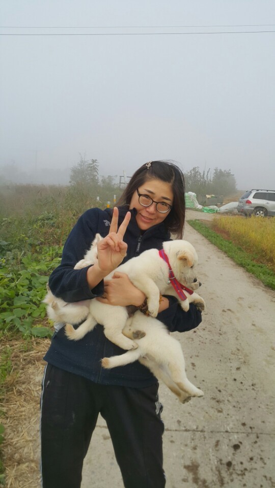 개소주가 되어 주인품으로 돌아온 매실이. 매실이는 이쁘고 영리하지만 겁도많은 소중한 가족이었습니다 | 인스티즈