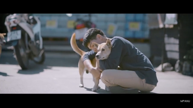 유기견을 꼭 안아주면 어떤일이 일어날까? | 인스티즈