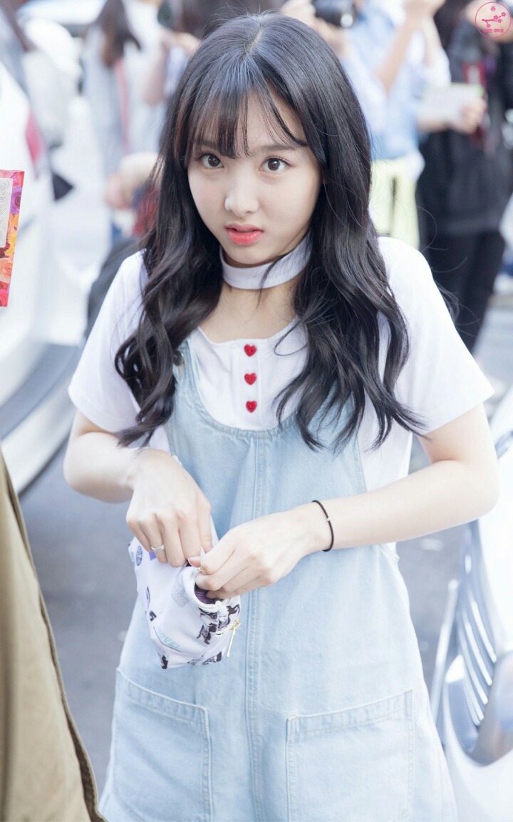 [트와이스] 나정효 출퇴근길 모음 | 인스티즈