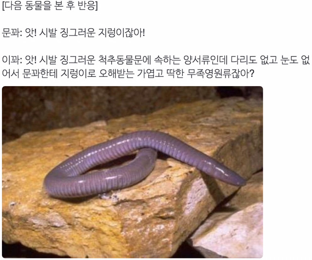 이과생 유머 몇가지 | 인스티즈