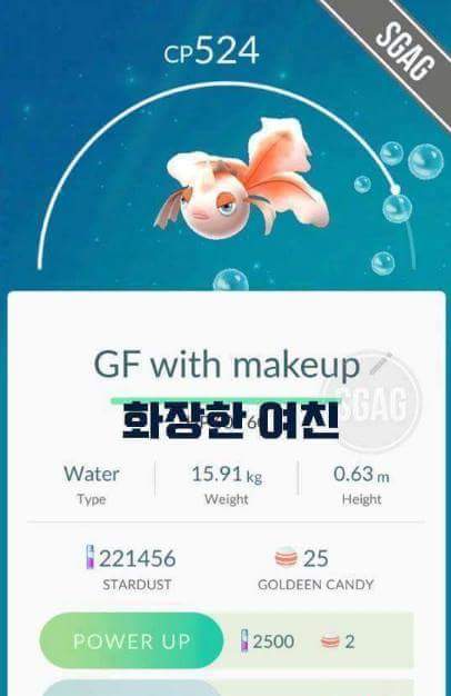 포켓몬고 작명센스 | 인스티즈