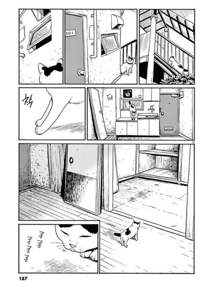 고양이 분짱(슬픔주의) | 인스티즈