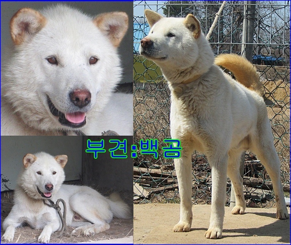 만강 이미지