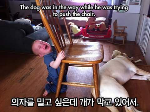 아이들이 우는 이유 | 인스티즈
