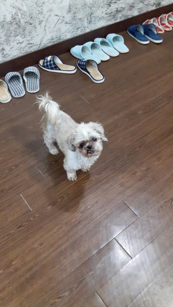 서광세탁소 이미지