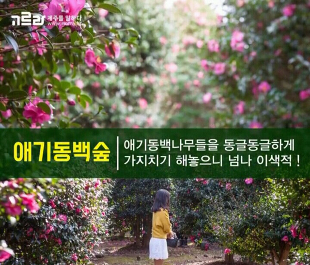 여자친구와 제주도로 여행을 떠나보자 | 인스티즈