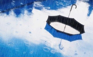 (주)들판 이미지