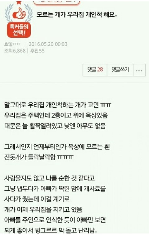 나름 고민은 고민.jpg | 인스티즈