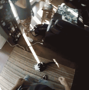 집사 나 안아줘냥.gif | 인스티즈