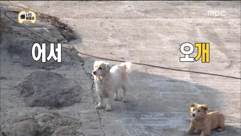 유재석 방송분량은 우주가 돕는다 ㅋㅋㅋㅋ | 인스티즈