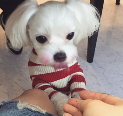 (주)씨지브이신도림 이미지