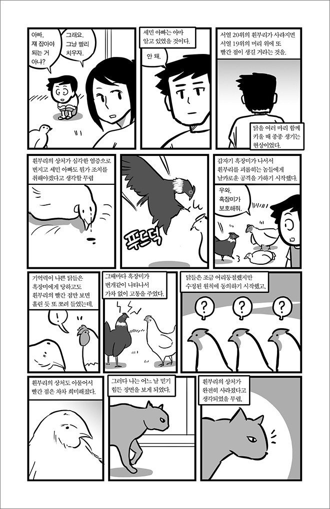 묘생만경 | 인스티즈