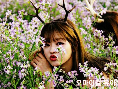 38사기동대 교통사고 신 찍는 방법 | 인스티즈