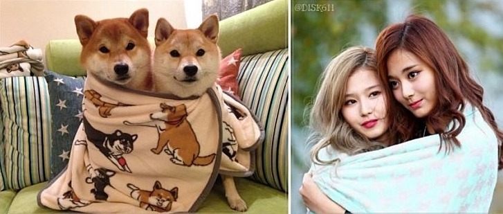 은 사나.jpgif | 인스티즈