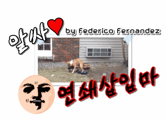 새행기.gif | 인스티즈