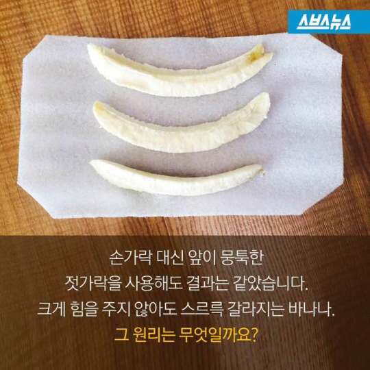 바나나 한 개를 세 명이 똑같이 나눠먹으려면? | 인스티즈