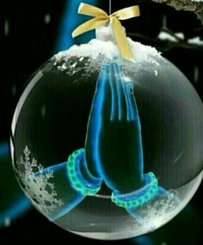 나반 이미지