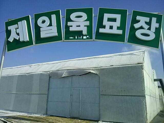제일육묘장 이미지