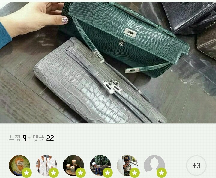 초록도마뱀 이미지