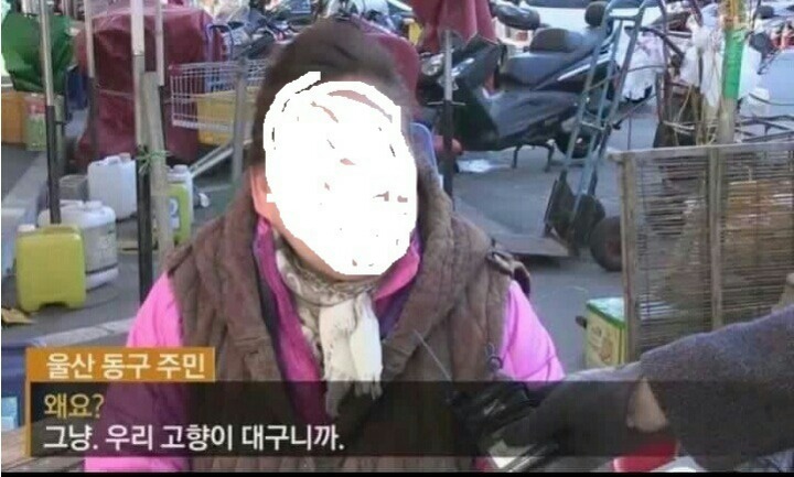 나는 나라 다 팔아먹어도 새누리당이에요 | 인스티즈