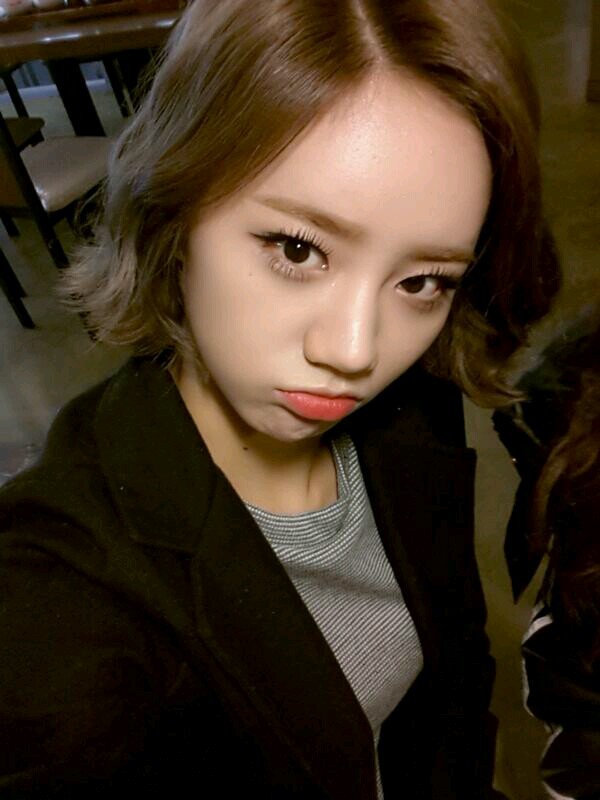 옴 이미지