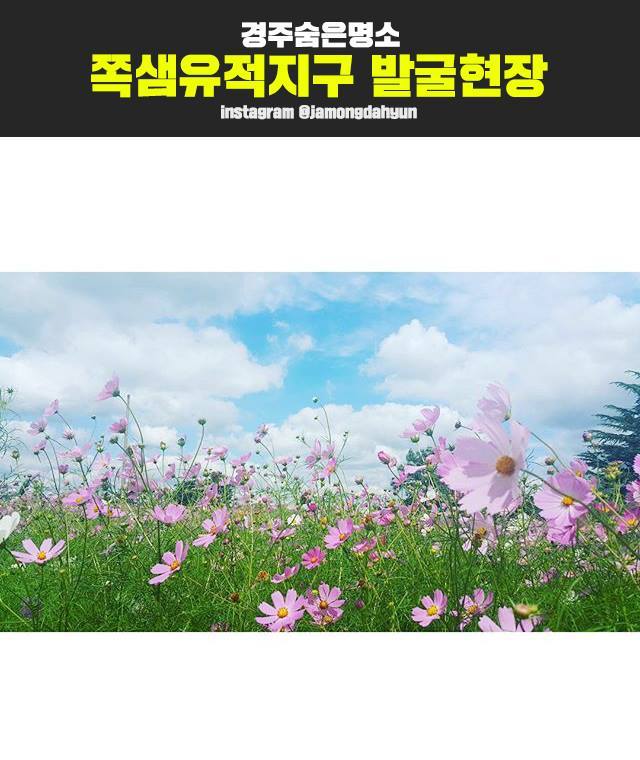 경주에 여행간다면 인생사진이 절로 나온다는 장소 리스트 (첨성대사진아님주의) | 인스티즈
