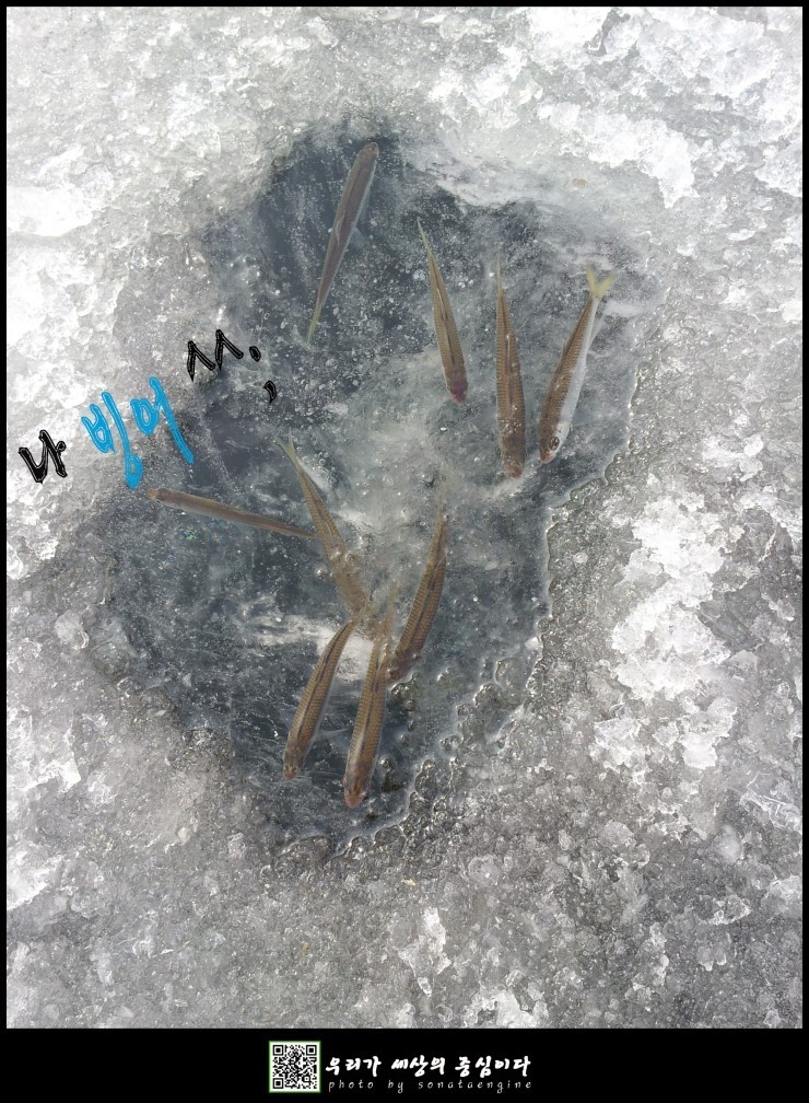 아산낚시 이미지