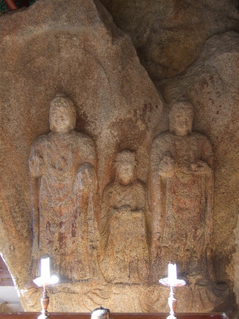 대원퇴비 이미지