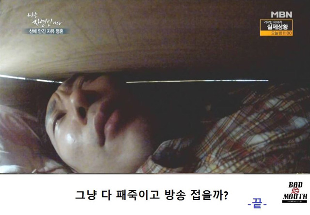 말벌 이후 레전드 경신한 나는 자연인이다 ㅋㅋㅋㅋㅋㅋㅋ | 인스티즈