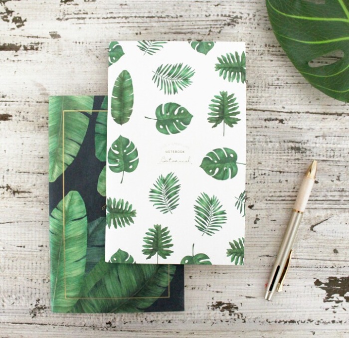 다이소 보태니컬 시리즈 | 인스티즈